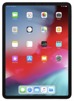 iPad Pro 11'<br>(2018)